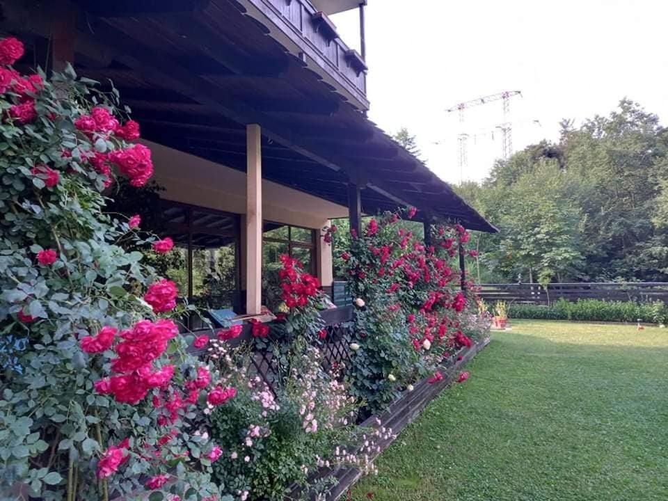 Casa Luce - Camere De Inchiriat Buşteni Eksteriør billede